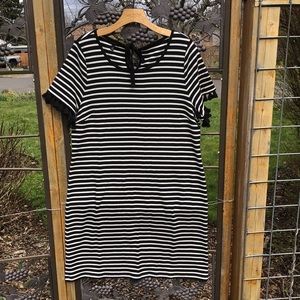 Talbots 💯% cotton knit black and white stripe dress size XL.  ***LAST CHANCE***